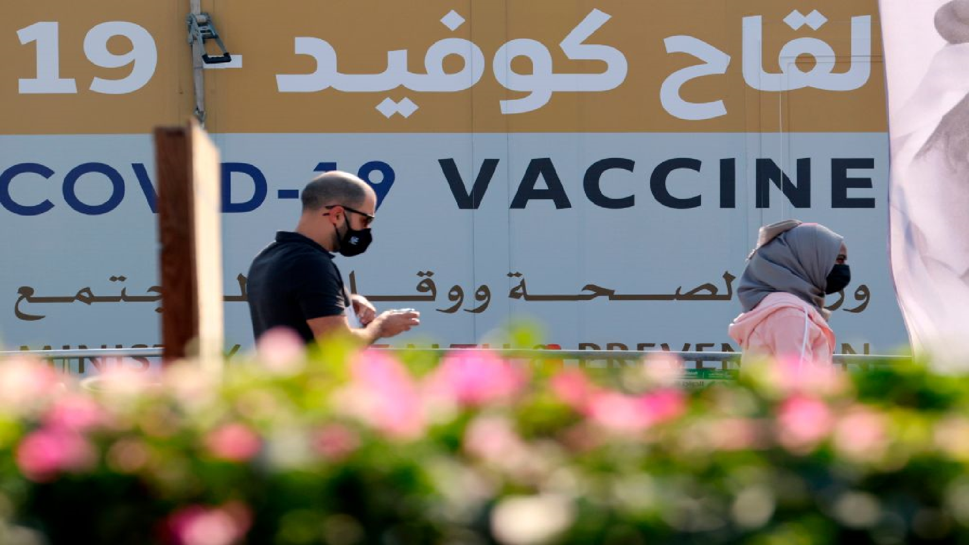 uae visit visa vaccine requirements